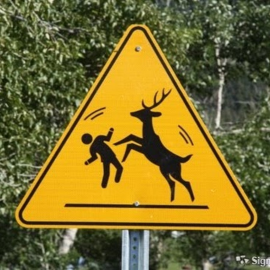 Осторожно олени. Знак осторожно. Дорожный знак олень. Предупреждающие знаки Дикие животные. Дорожный знак Дикие животные.